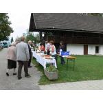 k-Martin_Horvat_v_Zitari_vasi_070908-008.jpg